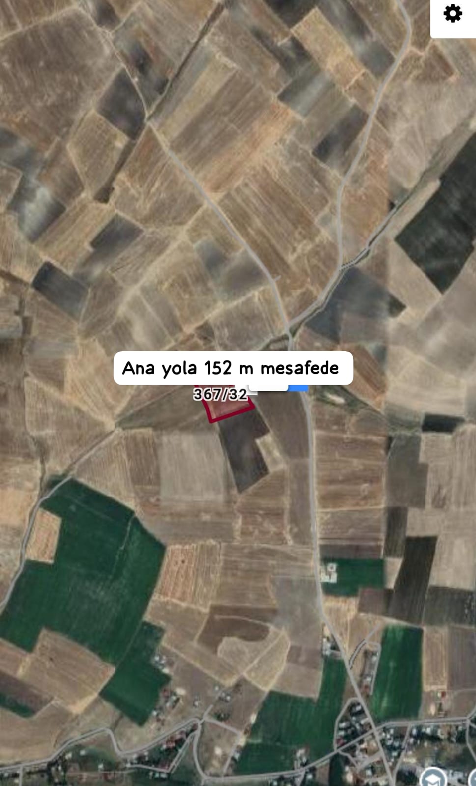 Fotoğraf